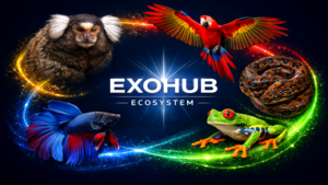 ExoHub Ecosystem